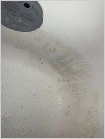 s_s_IMG_2566 (1) s_s_IMG_2566 (1)