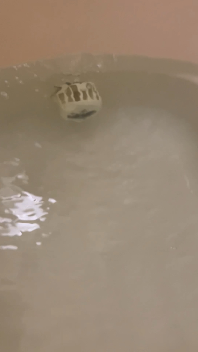 八戸　風呂釜洗浄