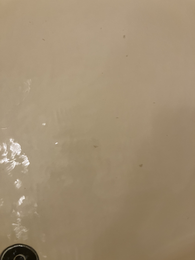 八戸　風呂釜洗浄