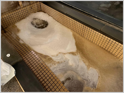 浴場循環配管洗浄