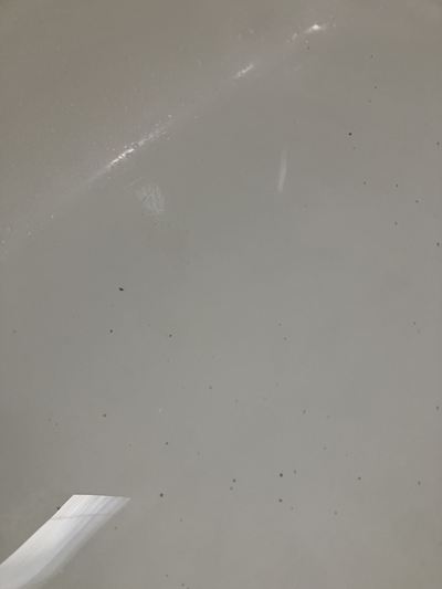 八戸 風呂釜追い焚き管洗浄