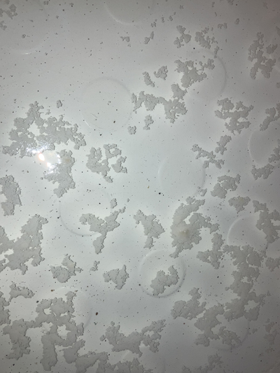 八戸 風呂釜追い焚き管洗浄 八戸 風呂釜追い焚き管洗浄