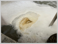 画像の説明 画像の説明