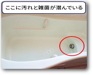 ここに雑菌が潜んでいる